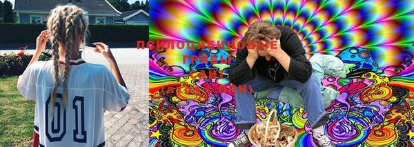 бошки Баксан
