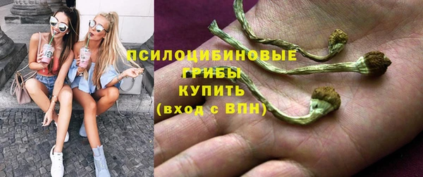 крисы Беломорск
