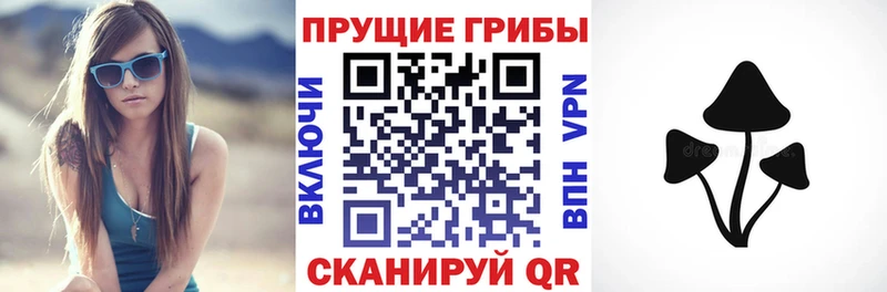 Псилоцибиновые грибы прущие грибы  Купить  Ейск 