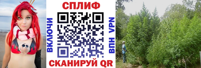 Купить закладки  Ейск  МАРИХУАНА VHQ 